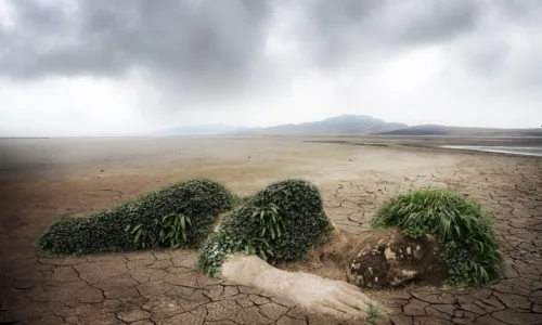 U3196787, CC BY-SA 4.0 , via Wikimedia Commons